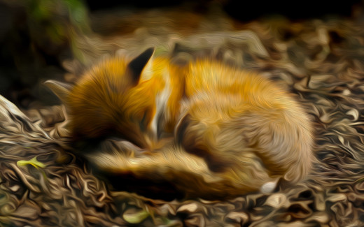 755231 (a): :2560x1600